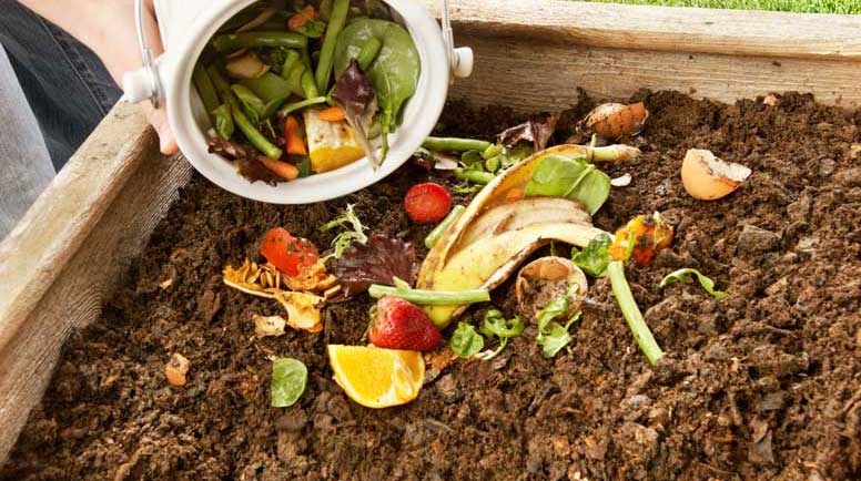 composting in singapore