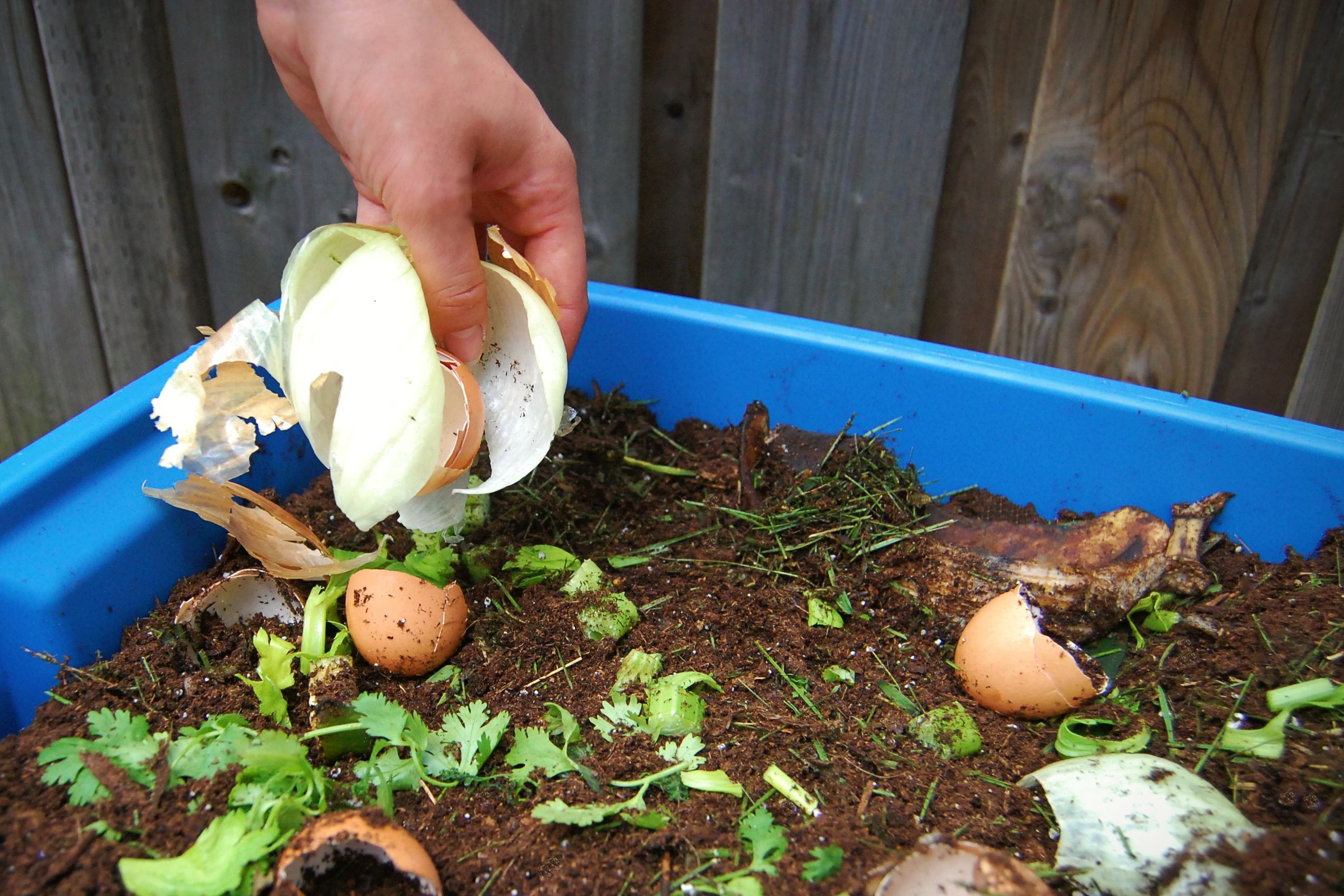 Know All About Composting in Singapore Now