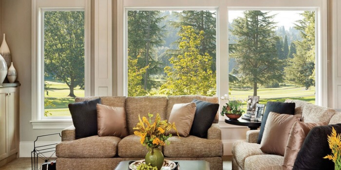 Everything You Need to Know About Picture Window Replacement
