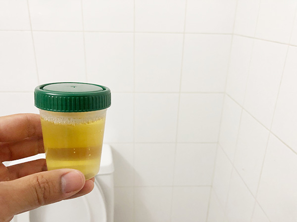synthetic urine kit